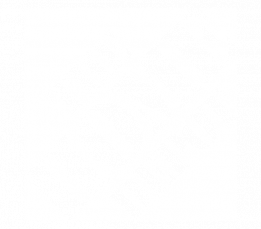 The Home Depot